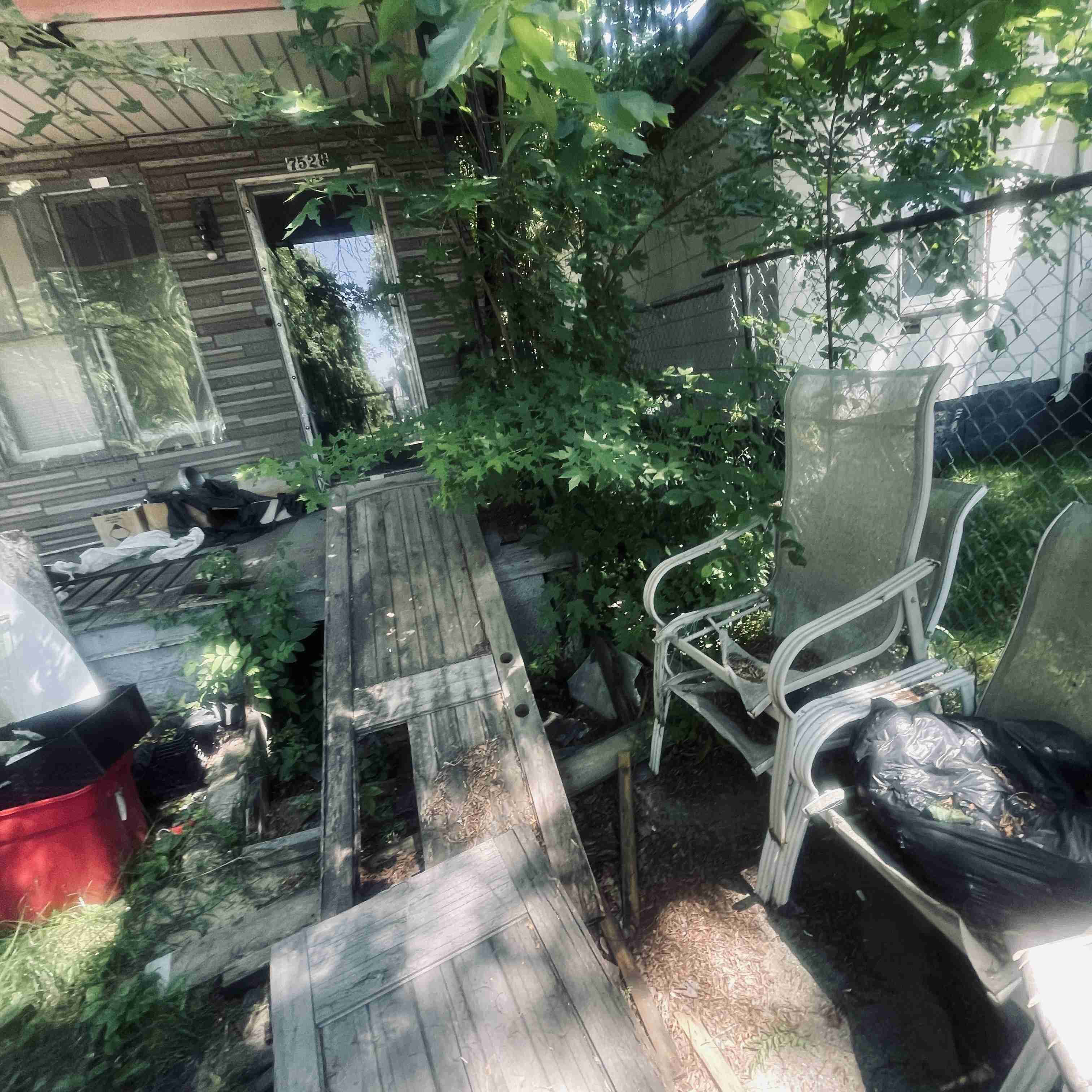 7528 Sarena (14).jpg